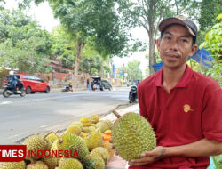 Tips dan Trik Rahasia Durian Berkualitas ala Pedagang Buah Banyuwangi – TIMES Banyuwangi