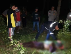 Pemanjat Kelapa Ditemukan Tak Bernyawa, Diduga Terjatuh Saat Memanjat