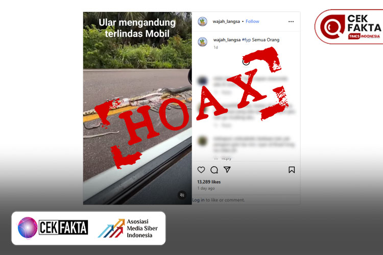 cek-fakta:-hoaks!-video-bayi-ular-berserakan-terlindas-di-sumatera-utara-–-times-banyuwangi