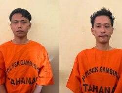 Dua Kawanan Pemuda Curi Jeruk Ratusan Kilogram Dihajar Massa hingga Babak Belur