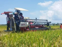 Tahap Pertama, Banyuwangi Dapat 43.825 Ton Pupuk Bersubsidi Alokasi 2025