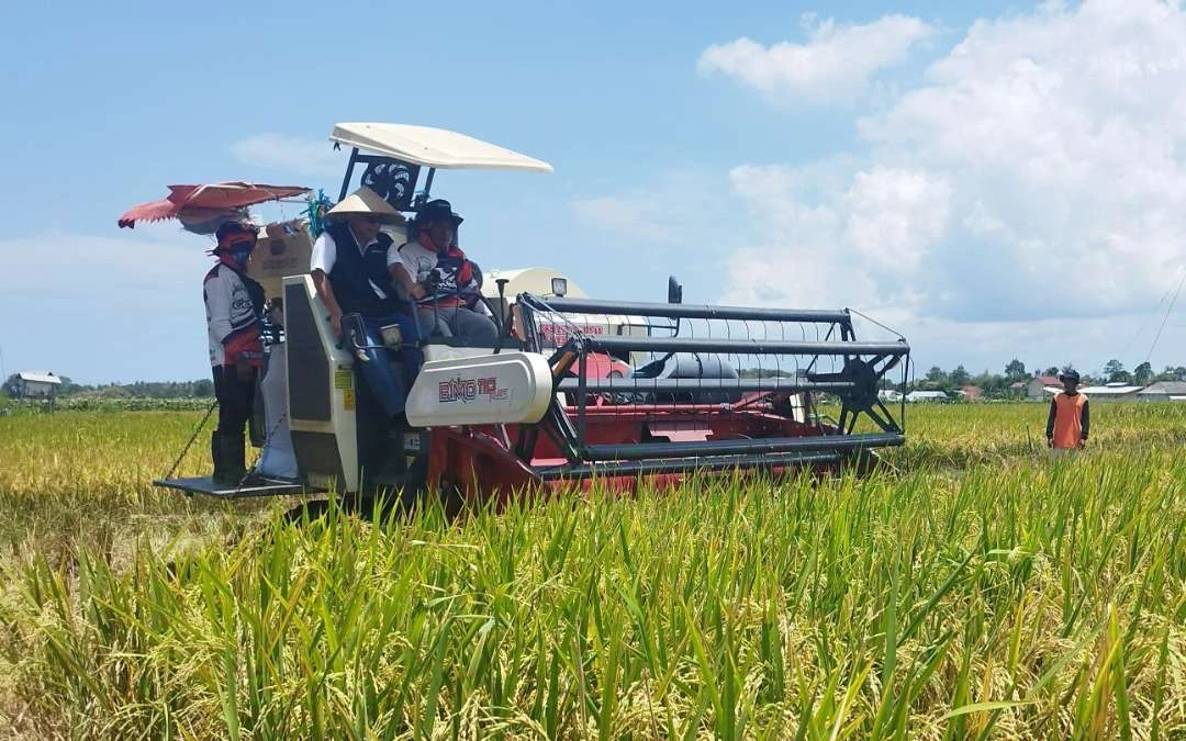 tahap-pertama,-banyuwangi-dapat-43.825-ton-pupuk-bersubsidi-alokasi-2025