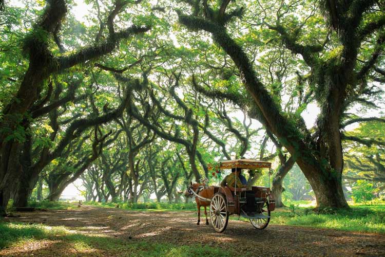 festival-dan-event-kreatif-jadi-daya-tarik-utama-pariwisata-di-banyuwangi-–-times-banyuwangi