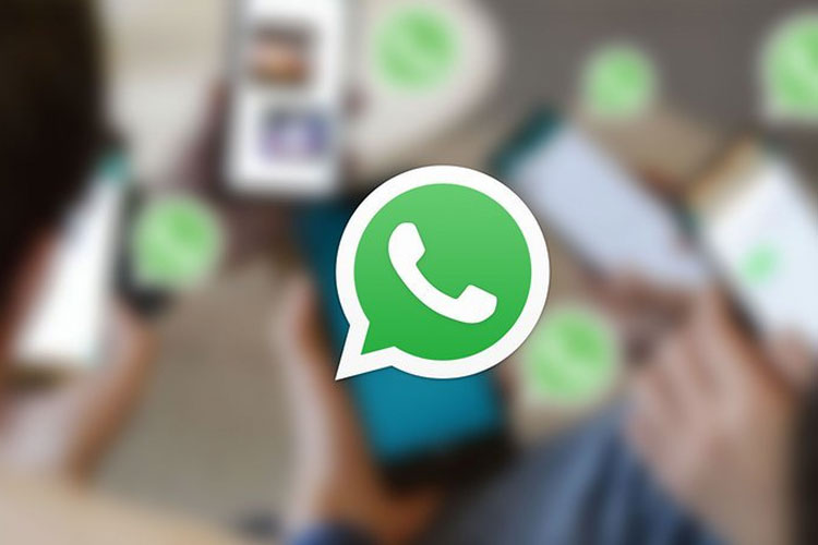 whatsapp-perkenalkan-fitur-baru,-ada-stiker-dari-swafoto-dan-efek-kamera-menarik-–-times-banyuwangi