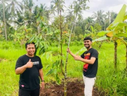 Desa Kelir Banyuwangi Tanam Seribu Pohon Buah, Proyeksi Jadi Wisata Petik Buah