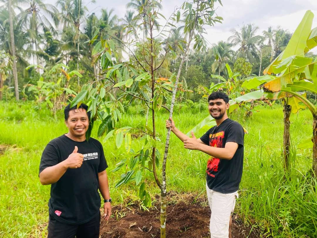 desa-kelir-banyuwangi-tanam-seribu-pohon-buah,-proyeksi-jadi-wisata-petik-buah