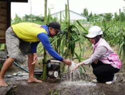 PLN Banyuwangi Perkuat Pertanian Desa Wringinpitu Melalui Program Pompanisasi – Radar Banyuwangi