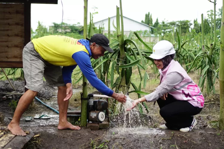 pln-banyuwangi-perkuat-pertanian-desa-wringinpitu-melalui-program-pompanisasi-–-radar-banyuwangi