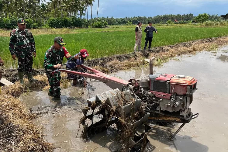 dukung-program-ketahanan-pangan-nasional,-kodim-0825-optimalkan-lahan-tidur-di-banyuwangi