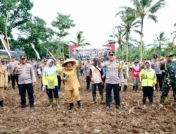 Dukung Ketahanan Pangan, Banyuwangi Siapkan Lahan 650 Hektare