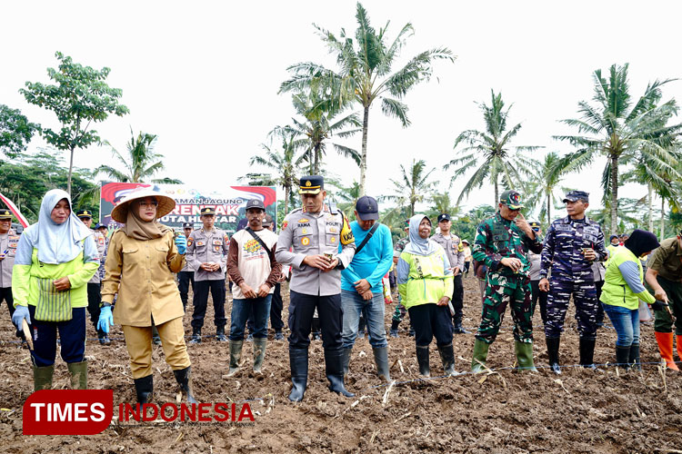 program-ketahanan-pangan-nasional,-banyuwangi-siapkan-650-hektare-lahan-–-times-banyuwangi