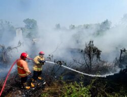 Ini Penyebab Kejadian Kebakaran Paling Sering Terjadi di Banyuwangi