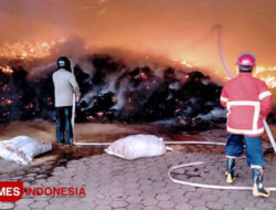 186 Kejadian Kebakaran Sepanjang Tahun 2024 di Banyuwangi – TIMES Banyuwangi