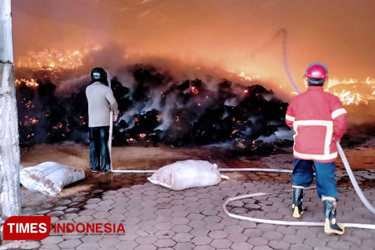 186-kejadian-kebakaran-sepanjang-tahun-2024-di-banyuwangi-–-times-banyuwangi