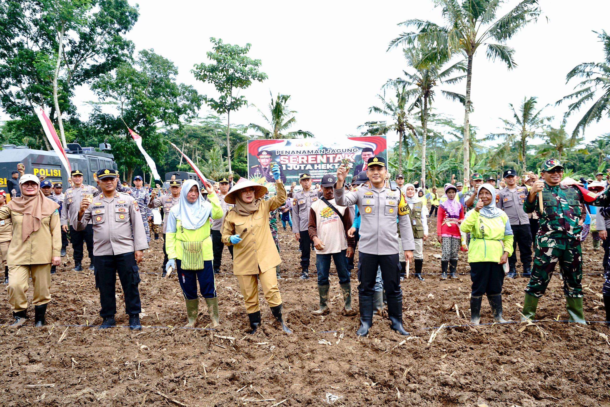 dukung-program-nasional-penanaman-1-juta-hektare-jagung,-banyuwangi-siapkan-650-hektar-lahan
