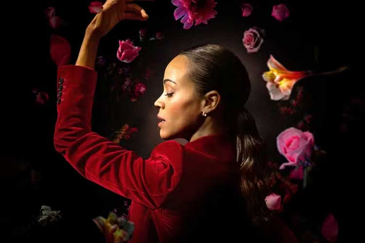 nominasi-oscar-2025-sudah-dirilis,-film-emilia-perez-paling-unggul-–-times-banyuwangi