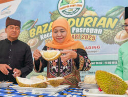 Meriahnya Bazar Durian Khas Pasuruan, Jenis Kasmin Jadi Favorit Khofifah – TIMES Banyuwangi