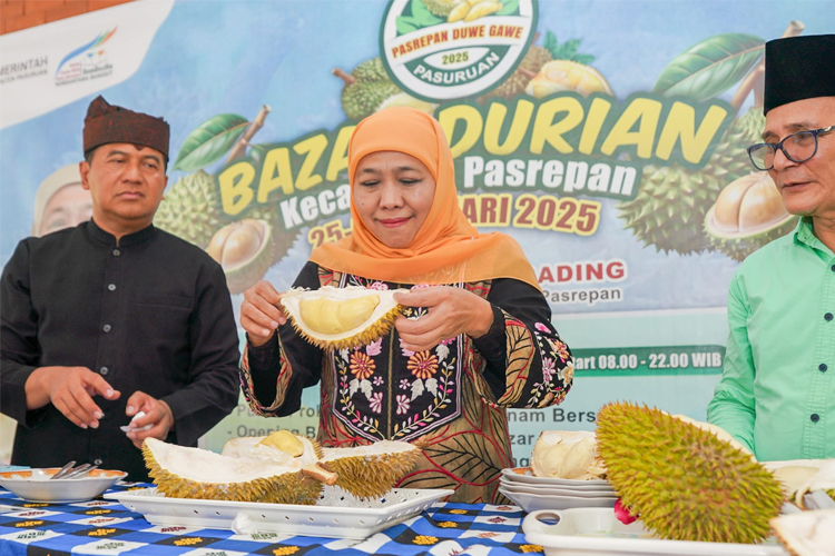 meriahnya-bazar-durian-khas-pasuruan,-jenis-kasmin-jadi-favorit-khofifah-–-times-banyuwangi