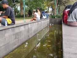 Sampah Plastik Berenang di Kolam Ikan RTH Maron Desa Genteng Kulon, Kecamatan Genteng Banyuwangi