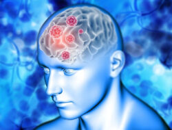 Tips Menjaga Kesehatan Mental dan Menghindari Brain Rot – TIMES Banyuwangi