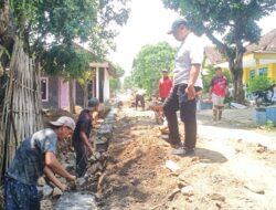 Bantuan Keuangan Provinsi, Digunakan Membangun Saluran Irigasi di Desa Sidodadi