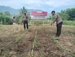 Begini Komitmen Polresta Banyuwangi Wujudkan Ketahanan Pangan Nasional – TIMES Banyuwangi