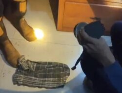 Dikira Ular, Petugas Damkarmat Evakuasi Serbet – Radar Banyuwangi