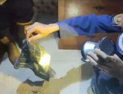 Cerita Petugas Damkar Banyuwangi Evakuasi Ular Ternyata Kain Lap – TIMES Banyuwangi