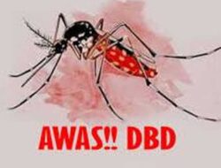 Ditemukan 88 Kasus DBD di 14 Kapanewon, Dinkes Bantul Dorong Gerakan PSN 3 Plus – TIMES Banyuwangi