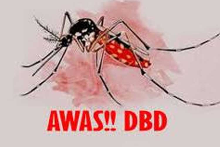 ditemukan-88-kasus-dbd-di-14-kapanewon,-dinkes-bantul-dorong-gerakan-psn-3-plus-–-times-banyuwangi