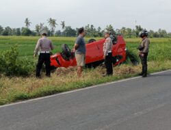 Toyota Calya Terguling di Rogojampi, Sopir Selamat dengan Luka Ringan