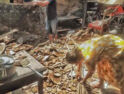 Ditinggal Rewang ke Tetangga, Rumah Kakek di Temuasri Banyuwangi Ambruk