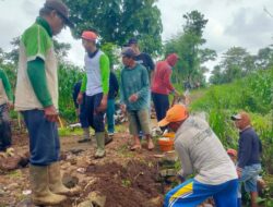 Warga, BPD, dan Pemdes Kompak Swadaya Perbaiki Jalan Rusak di Karangrejo Selatan, Wongsorejo