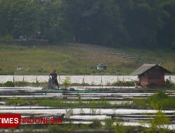 Wacana PLTS Terapung di Bendungan Karangkates, Apakah Diperbolehkan Regulasi? – TIMES Banyuwangi
