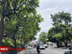 Kota Malang Dilanda Cuaca Ekstrem, Waspada Pohon Tumbang di 15 Titik Rawan Ini – TIMES Banyuwangi