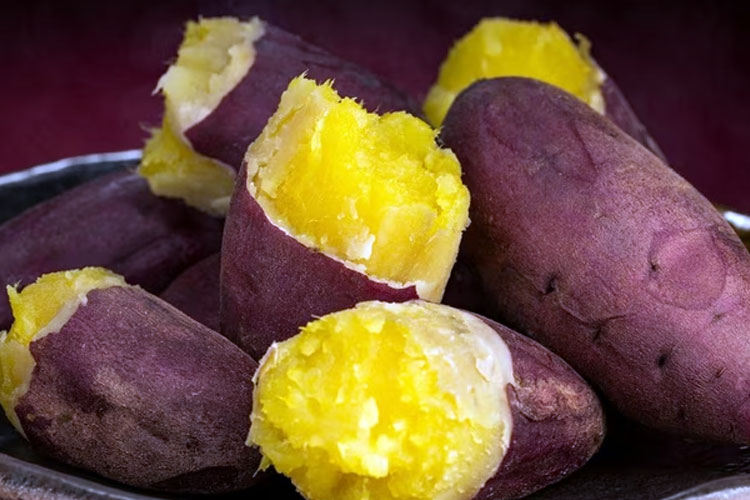 5-manfaat-menakjubkan-ubi-jalar:-lebih-dari-sekadar-camilan-lezat-–-times-banyuwangi