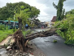 76 Rumah Rusak, Kerugian Material Rp 364 Juta Dampak Angin Kencang yang Melanda Banyuwangi