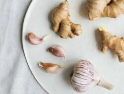 Ragam Antibiotik Alami untuk Melawan Infeksi Bakteri – TIMES Banyuwangi