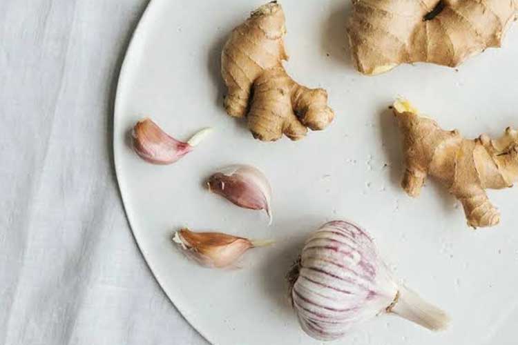 ragam antibiotik-alami-untuk-melawan-infeksi-bakteri-–-times-banyuwangi