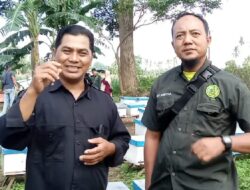Peternak Lebah Madu Pindahkan Koloni Mengikuti Perubahan Musim