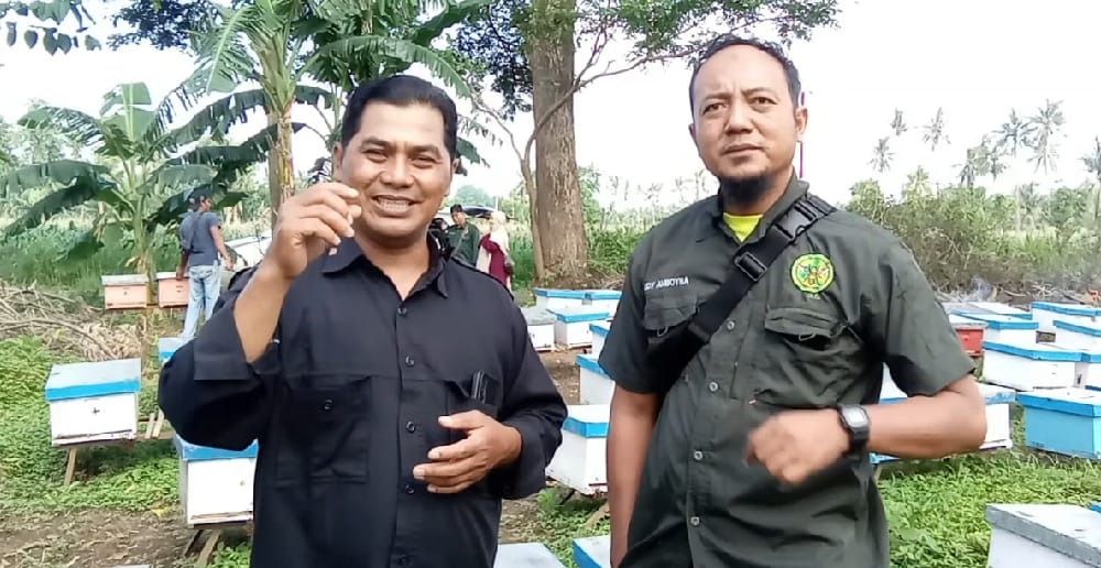 peternak-lebah-madu-pindahkan-koloni-mengikuti-perubahan-musim