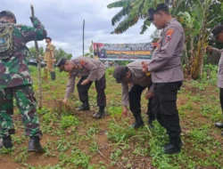 Jajaran Polsek di Banyuwangi Tanam Jagung Serentak di Ratusan Hektar Lahan