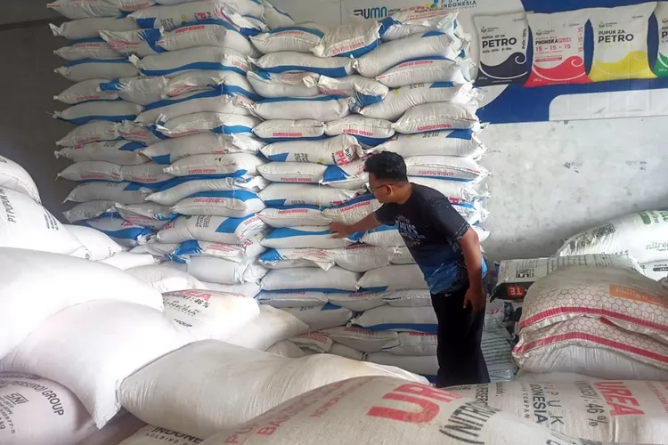 stok-pupuk-subsidi-di-banyuwangi-selatan-melimpah,-pembeli-tetap-wajib-bawa-ktp