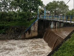 Debit Air Bendung Setail Kecamatan Genteng Banyuwangi Naik hingga 6.000 Liter Per Detik