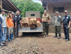 26 Batang Kayu Jati Diduga Hasil Ilegal Logging Diamankan Petugas Gabungan
