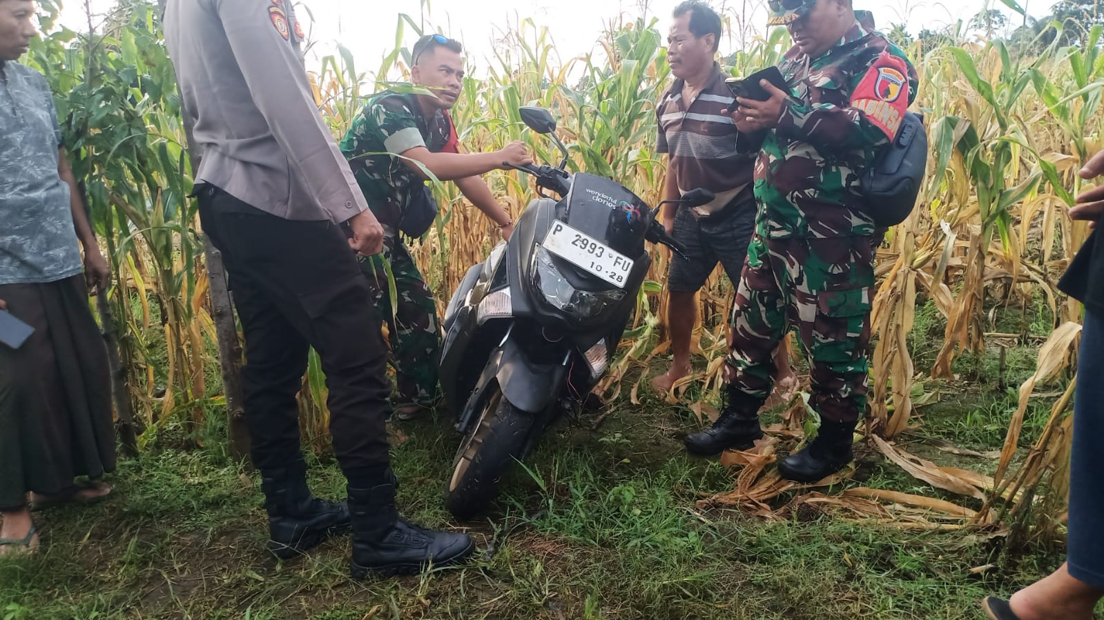 warga-temukan-motor-hilang-di-lahan-jagung,-kunci-kontak-rusak