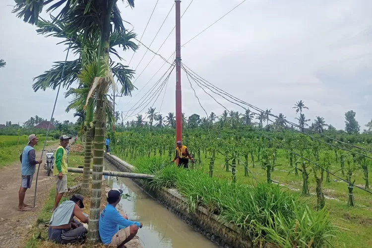 13-tiang-listrik-ambruk,-tiga-desa-di-tegaldlimo-dan-purwoharjo-blackout
