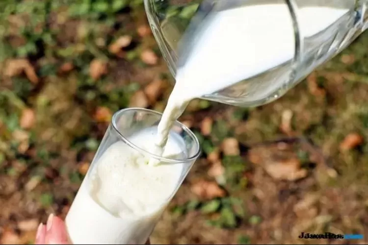 menu-susu-murni-program-makan-bergizi-gratis-di-rogojampi-banyuwangi-hilang,-ini-penyebabnya