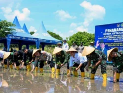 Dukung Ketahanan Pangan sekaligus Pembinaan, Lapas Banyuwangi Tanam Padi Seluas Dua Hektar