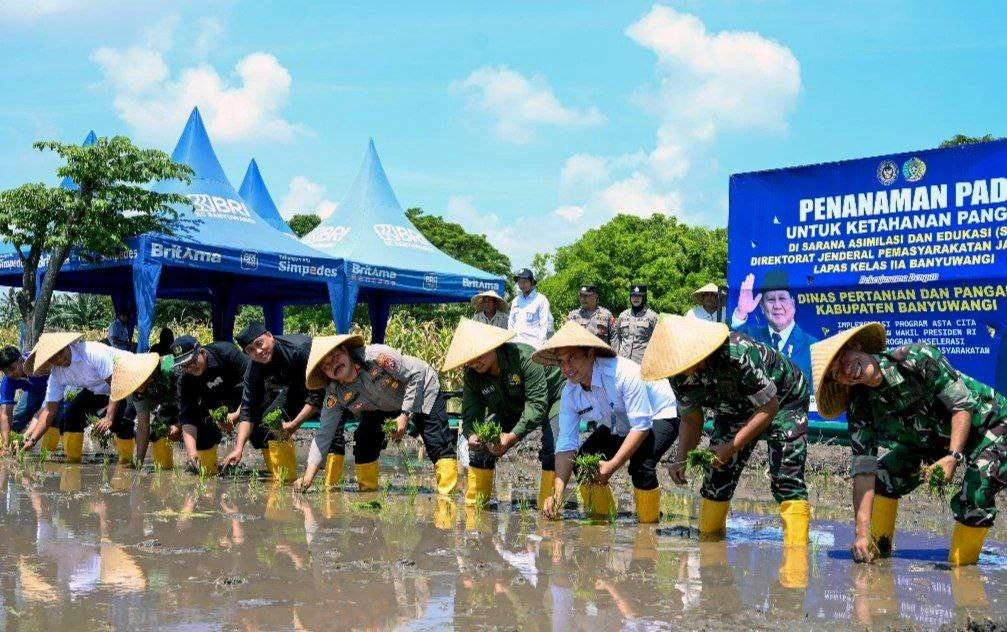 dukung-ketahanan-pangan-sekaligus-pembinaan,-lapas-banyuwangi-tanam-padi-seluas-dua-hektar